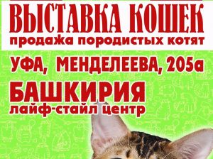 Международную выставку кошек 5-6 мая 2018